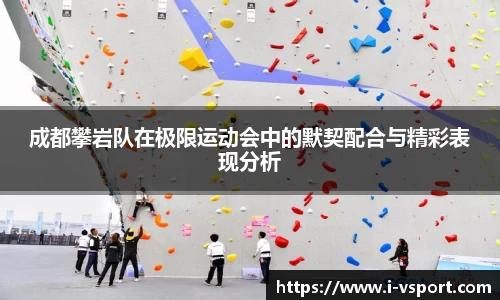 v体育官方网站